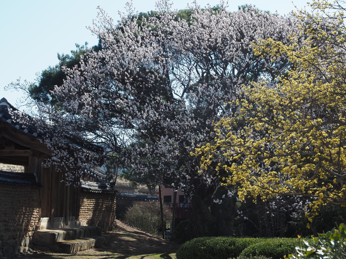 f:id:toyojapan1:20190414171007j:plain f:id:toyojapan1:20190414171007j:plain