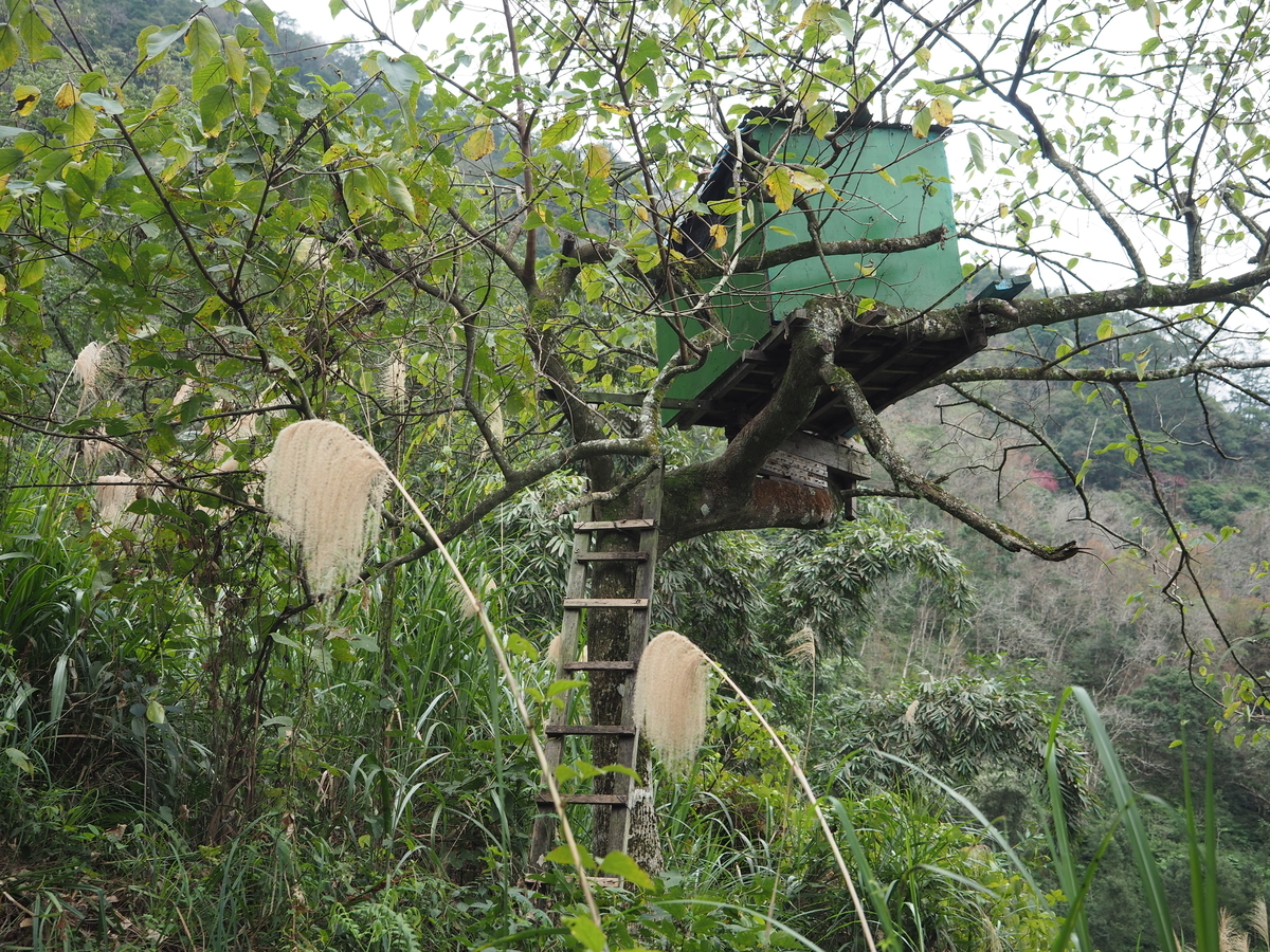 f:id:toyojapan1:20200110010449j:plain f:id:toyojapan1:20200110010449j:plain