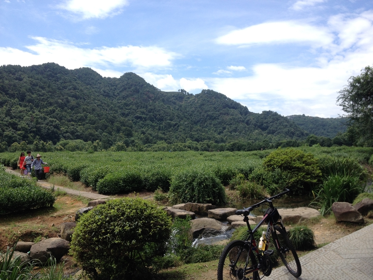 f:id:toyojapan1:20200712102657j:plain