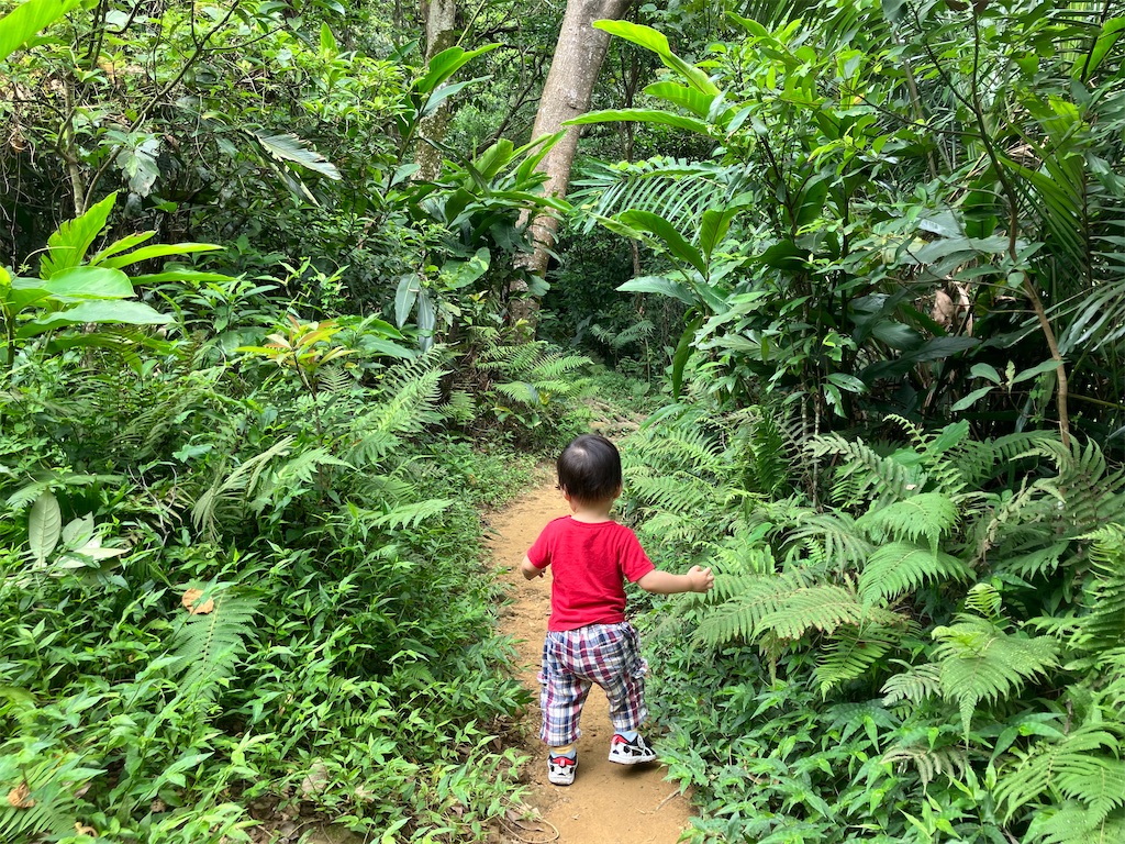 f:id:toyojapan1:20230731165320j:image f:id:toyojapan1:20230731165320j:image