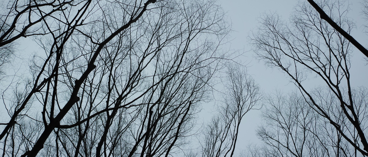f:id:toyoshi:20200328151821j:plain
