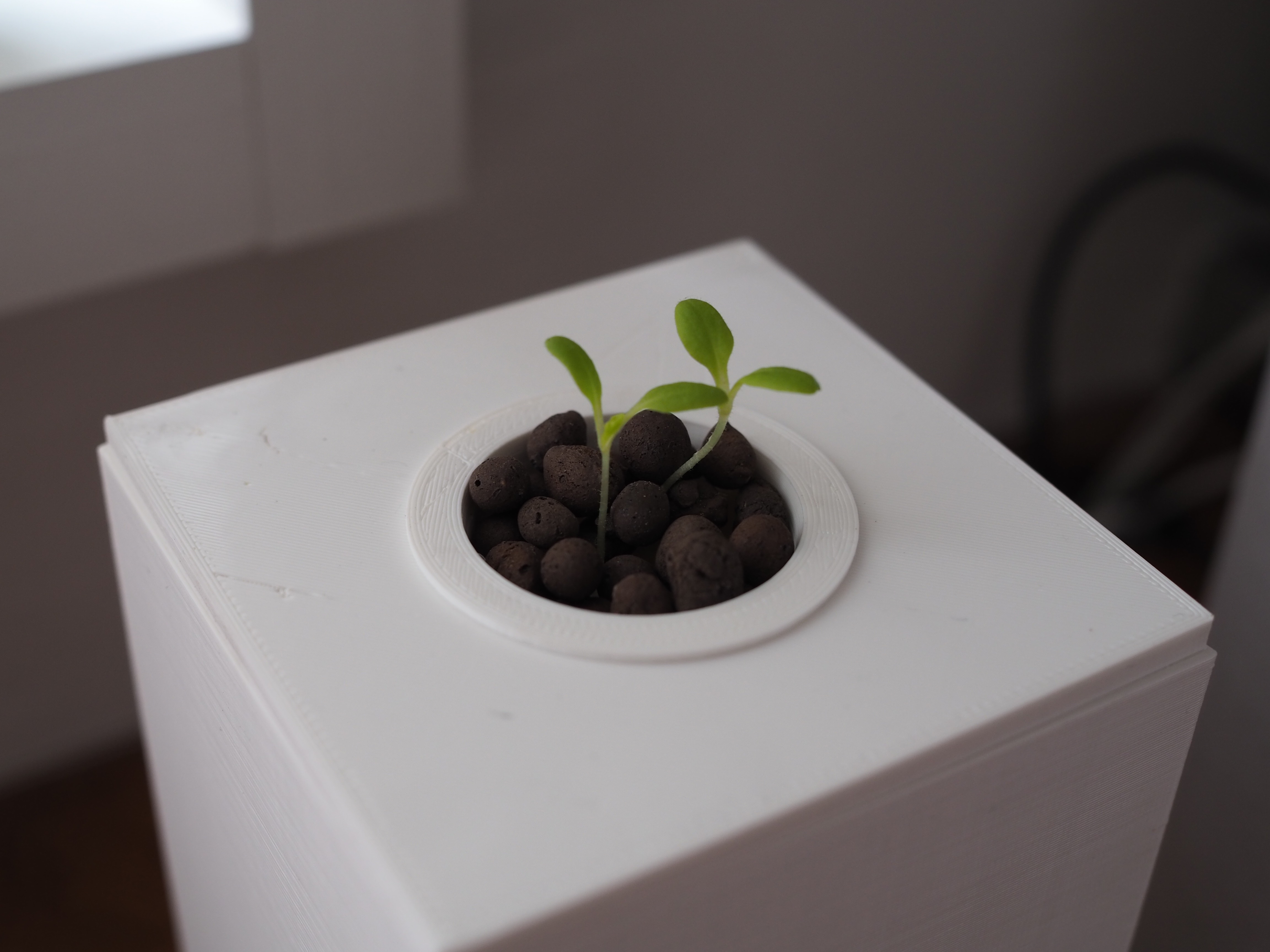 f:id:toyoshi:20200508103612j:image f:id:toyoshi:20200508103612j:image