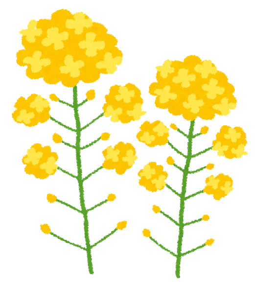 f:id:toyotamaaoc:20190417095038p:plain f:id:toyotamaaoc:20190417095038p:plain
