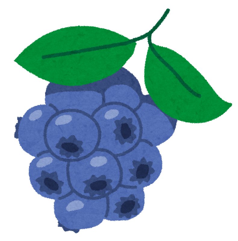 f:id:toyotamaaoc:20190603112242p:plain