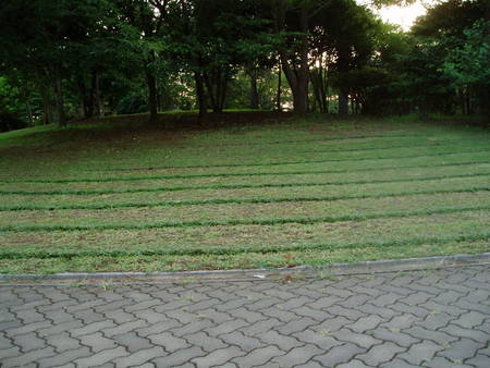 f:id:toyotoki11:20070824175109j:image