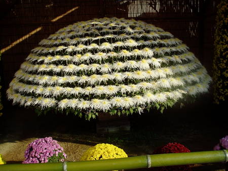 f:id:toyotoki11:20071124143549j:image f:id:toyotoki11:20071124143549j:image