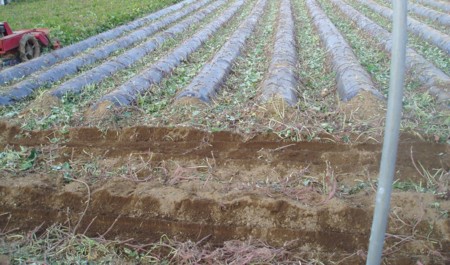 f:id:toyotoki11:20091023160543j:image