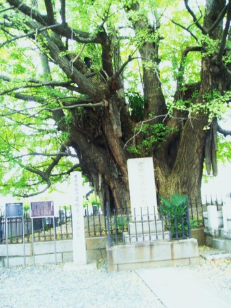 f:id:toyotoki11:20091024104949j:image f:id:toyotoki11:20091024104949j:image