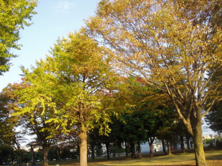 f:id:toyotoki11:20091107152007j:image