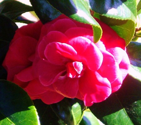 f:id:toyotoki11:20100314101618j:image