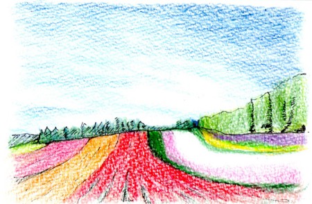 f:id:toyotoki11:20100805110751j:image f:id:toyotoki11:20100805110751j:image