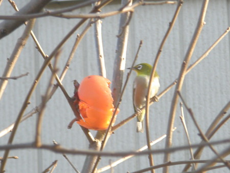 f:id:toyotoki11:20111207143459j:image