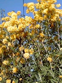 f:id:toyotoki11:20130720163022j:image