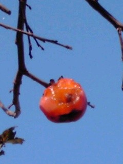 f:id:toyotoki11:20131124143921j:image