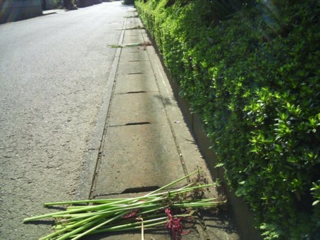 f:id:toyotoki11:20150928143528j:image