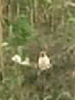 f:id:toyotoki11:20151213124610j:image