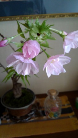 f:id:toyotoki11:20180328121821j:image f:id:toyotoki11:20180328121821j:image