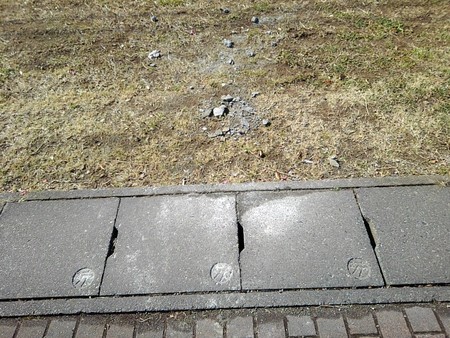 f:id:toyotoki11:20190221101233j:plain