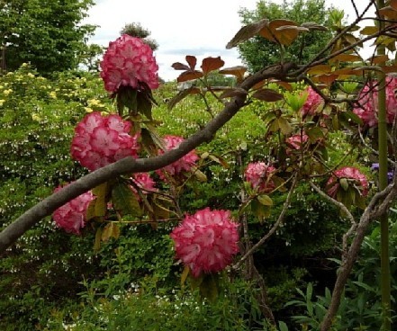 f:id:toyotoki11:20190501133333j:plain