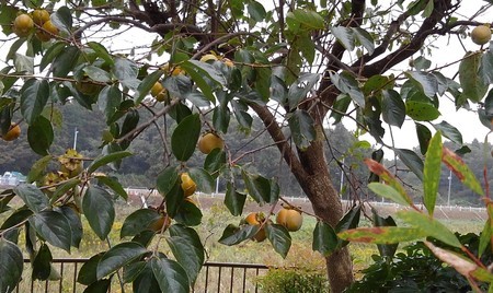 f:id:toyotoki11:20191014142147j:plain