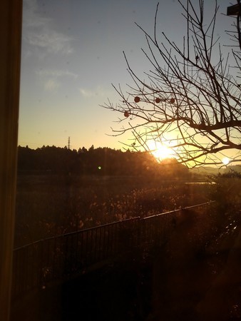 f:id:toyotoki11:20211130070613j:plain