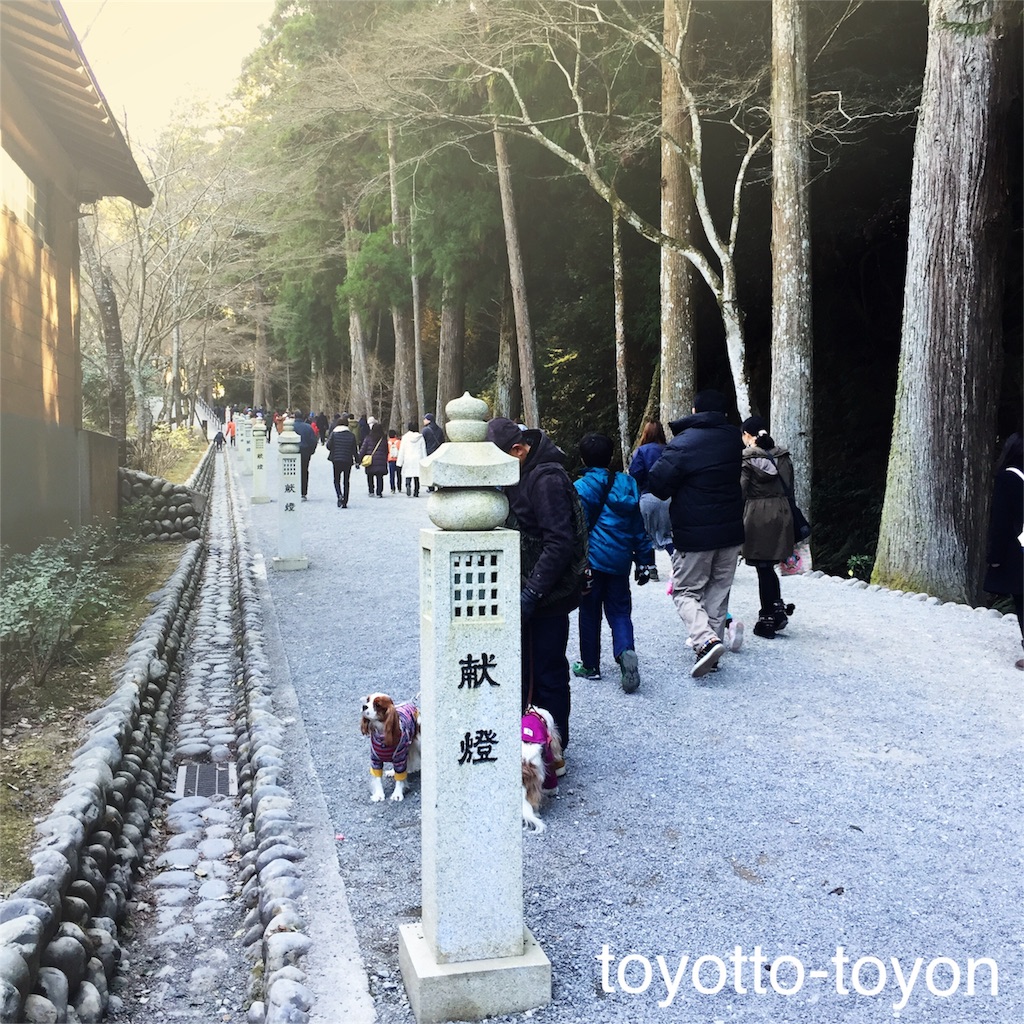f:id:toyotto8:20160110151457j:image f:id:toyotto8:20160110151457j:image