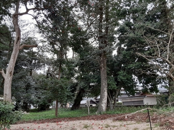 大宮売神社 ~京都府・京丹後~ 神様に逢いたくて…