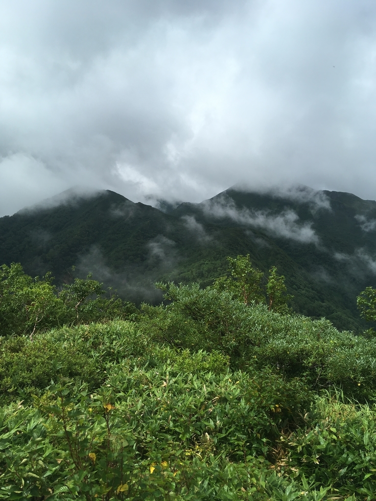 f:id:toyoyan:20180921205728j:plain f:id:toyoyan:20180921205728j:plain