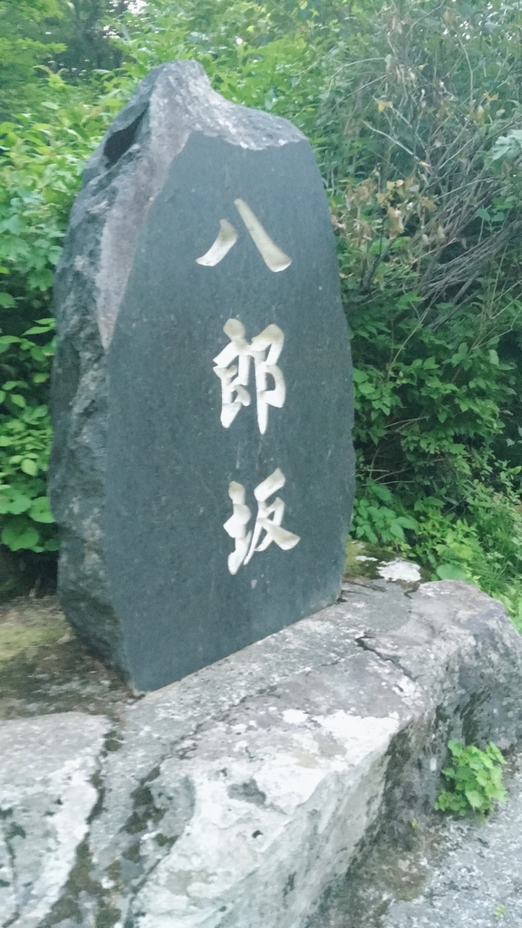 f:id:toyoyan:20180921211746j:plain f:id:toyoyan:20180921211746j:plain