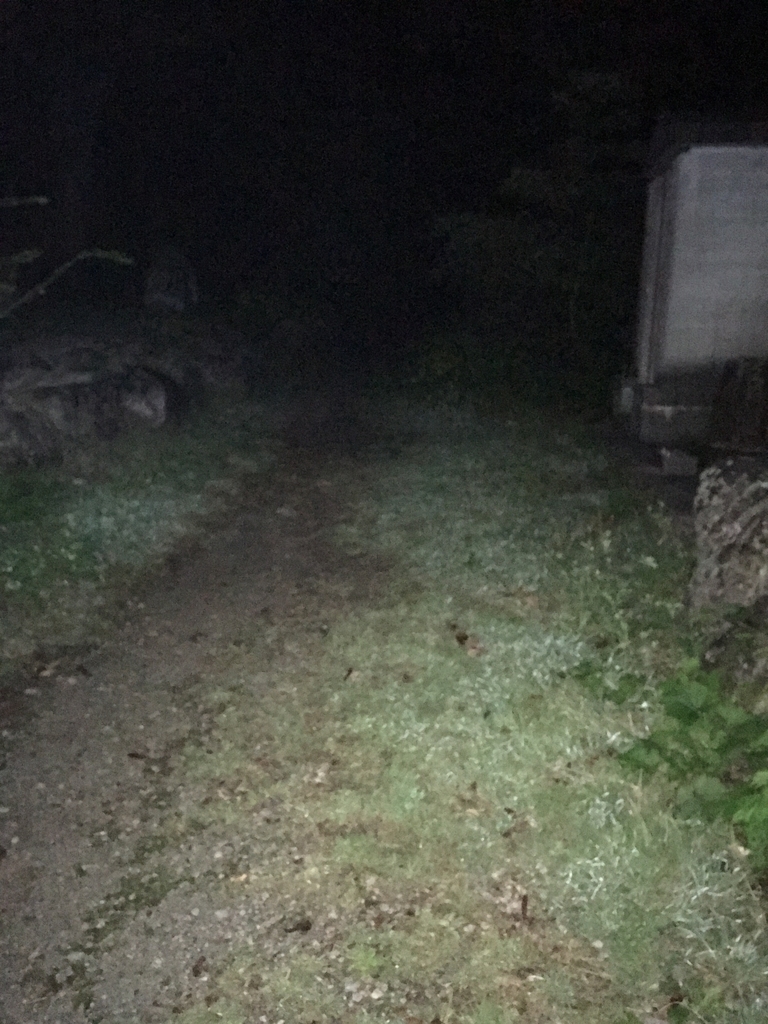 f:id:toyoyan:20180925074318j:plain f:id:toyoyan:20180925074318j:plain