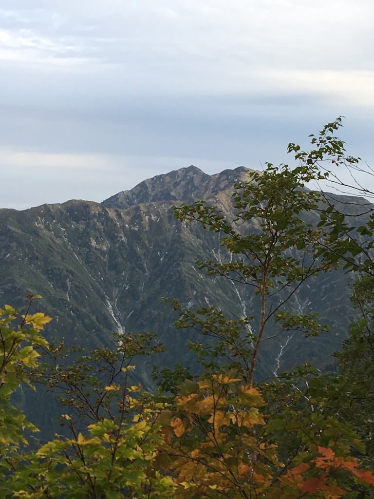 f:id:toyoyan:20180925082200j:plain f:id:toyoyan:20180925082200j:plain