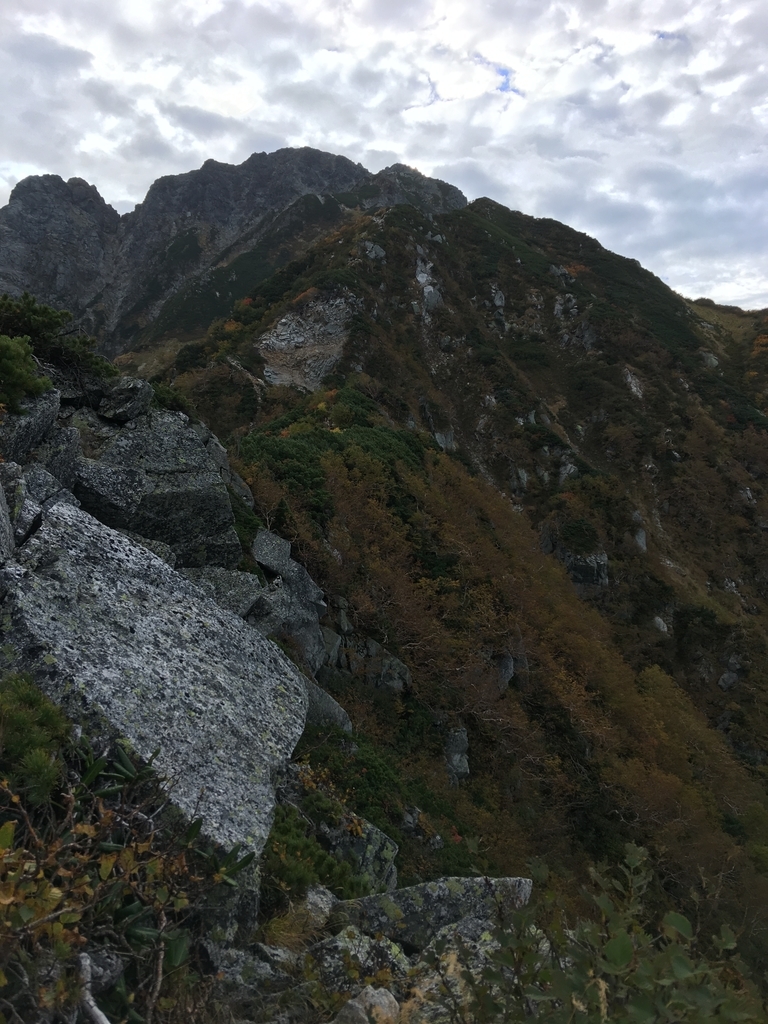f:id:toyoyan:20180925085722j:plain f:id:toyoyan:20180925085722j:plain