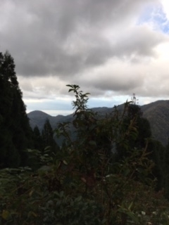 f:id:toyoyan:20181020215931j:plain f:id:toyoyan:20181020215931j:plain