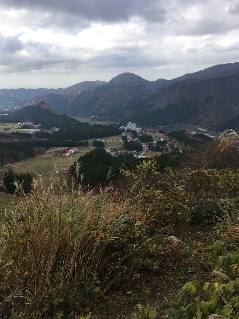 f:id:toyoyan:20181111090928j:plain f:id:toyoyan:20181111090928j:plain