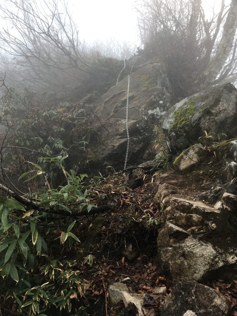 f:id:toyoyan:20181111091229j:plain f:id:toyoyan:20181111091229j:plain