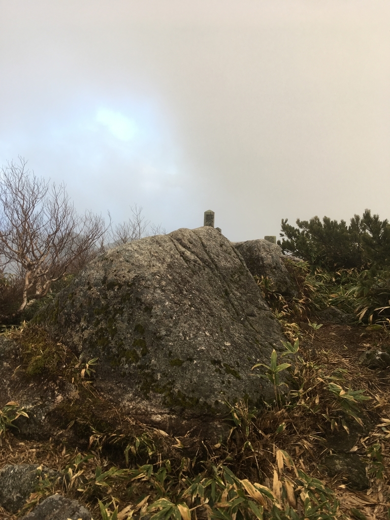 f:id:toyoyan:20181111091328j:plain f:id:toyoyan:20181111091328j:plain