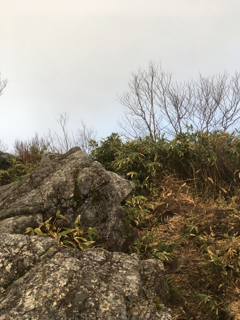 f:id:toyoyan:20181111091351j:plain f:id:toyoyan:20181111091351j:plain