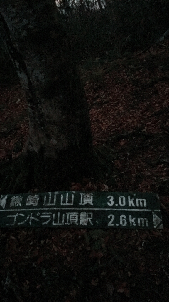 f:id:toyoyan:20181111091413j:plain f:id:toyoyan:20181111091413j:plain