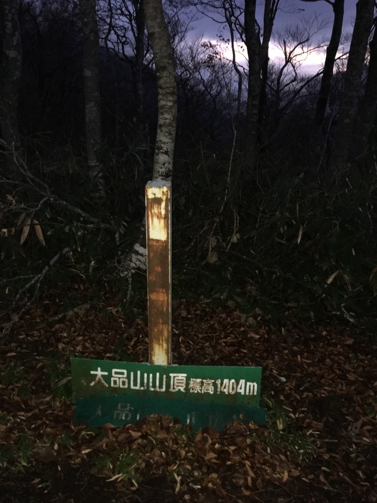 f:id:toyoyan:20181111091433j:plain f:id:toyoyan:20181111091433j:plain