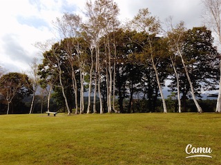 f:id:toypoo_camper:20200607213202j:plain