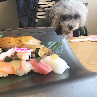 f:id:toypoo_camper:20200607213833j:plain