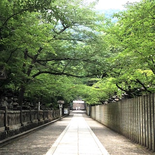 f:id:toypoo_camper:20200607220206j:plain