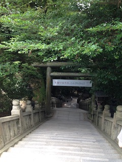 f:id:toypoo_camper:20200607220214j:plain