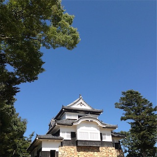 f:id:toypoo_camper:20200607221408j:plain