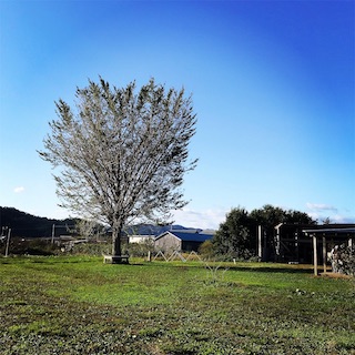 f:id:toypoo_camper:20200628143639j:plain