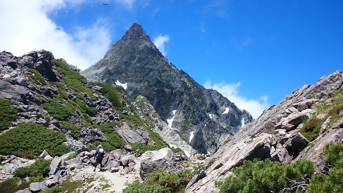 f:id:tozankaooya:20190728135842j:plain f:id:tozankaooya:20190728135842j:plain