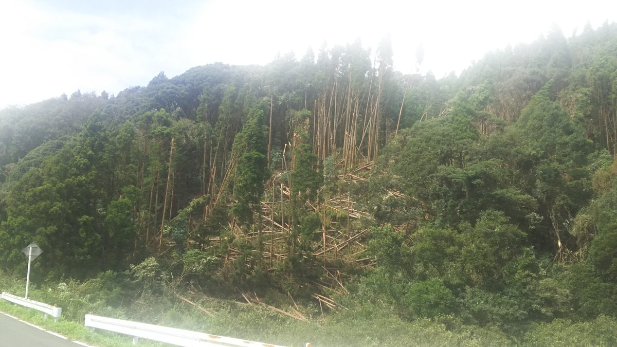 f:id:tp1202904:20191004010438j:plain f:id:tp1202904:20191004010438j:plain