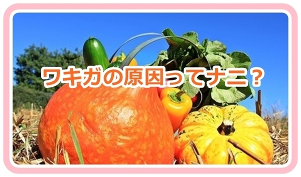 f:id:tp315:20180221124656j:plain f:id:tp315:20180221124656j:plain