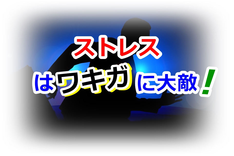 f:id:tp315:20180307190002j:plain f:id:tp315:20180307190002j:plain