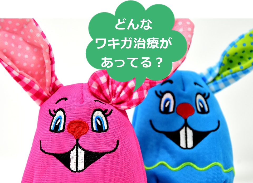 f:id:tp315:20180403124840j:plain f:id:tp315:20180403124840j:plain